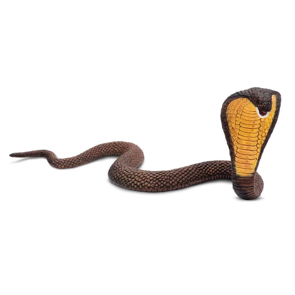 Safari Ltd. - Cobra Kids Toy Figure