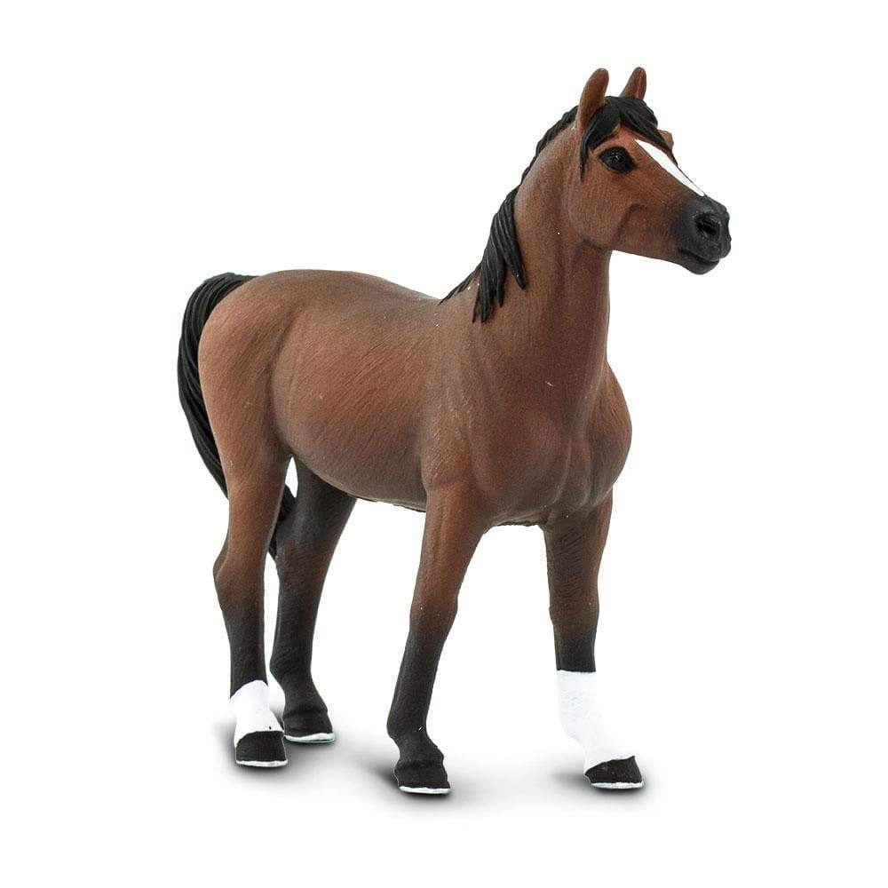 Safari Ltd. - Morgan Stallion Kids Toy Figure