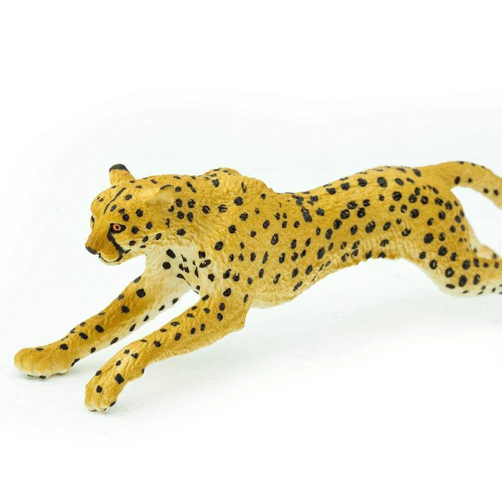 Safari Ltd. - Cheetah Kids Toy Figure