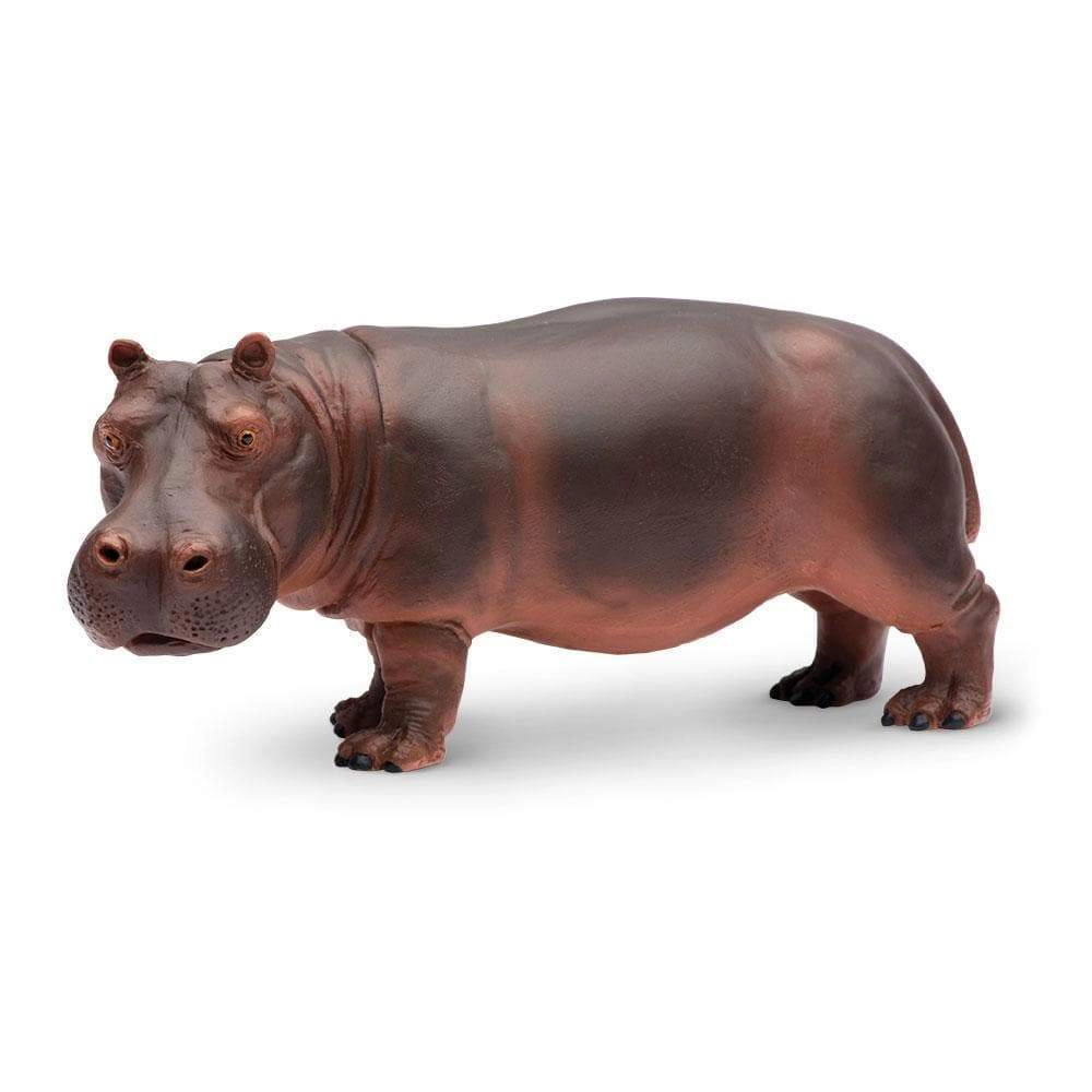Safari Ltd. - Hippopotamus Kids Toy Figure