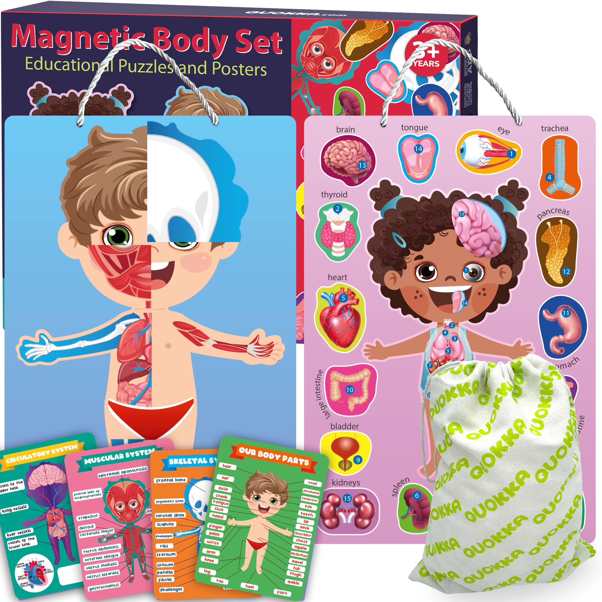 QUOKKA Human Anatomy Puzzle Set for Kids, Wooden & Magnetic Body Parts Learning Toy