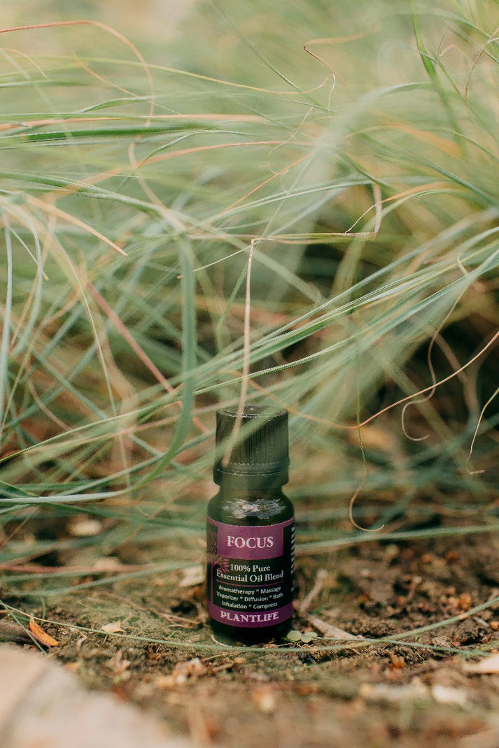 Plantlife Focus Essential Oil Blend