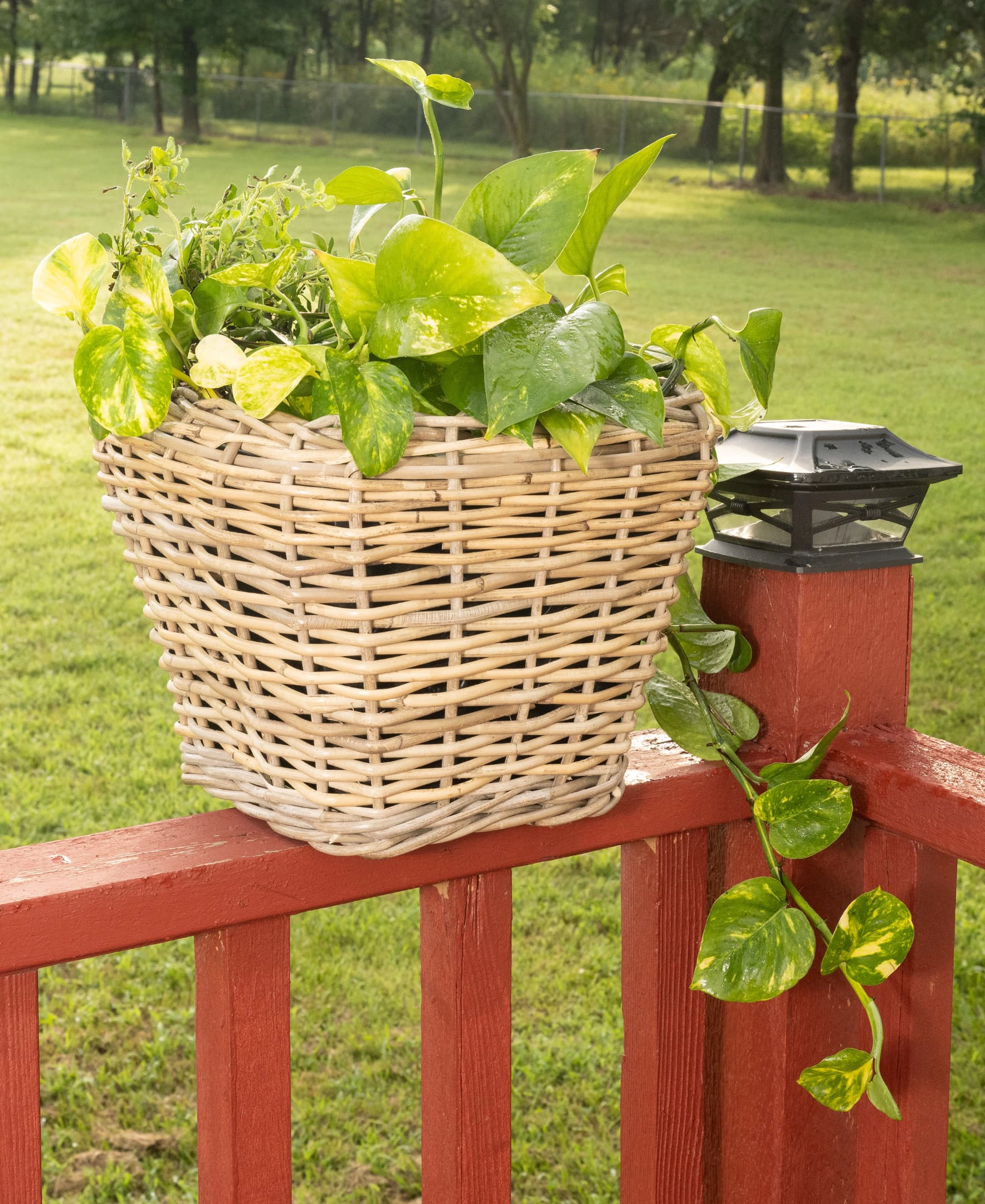 Saboga Home™ Square Tapered Planter with Plastic Insert