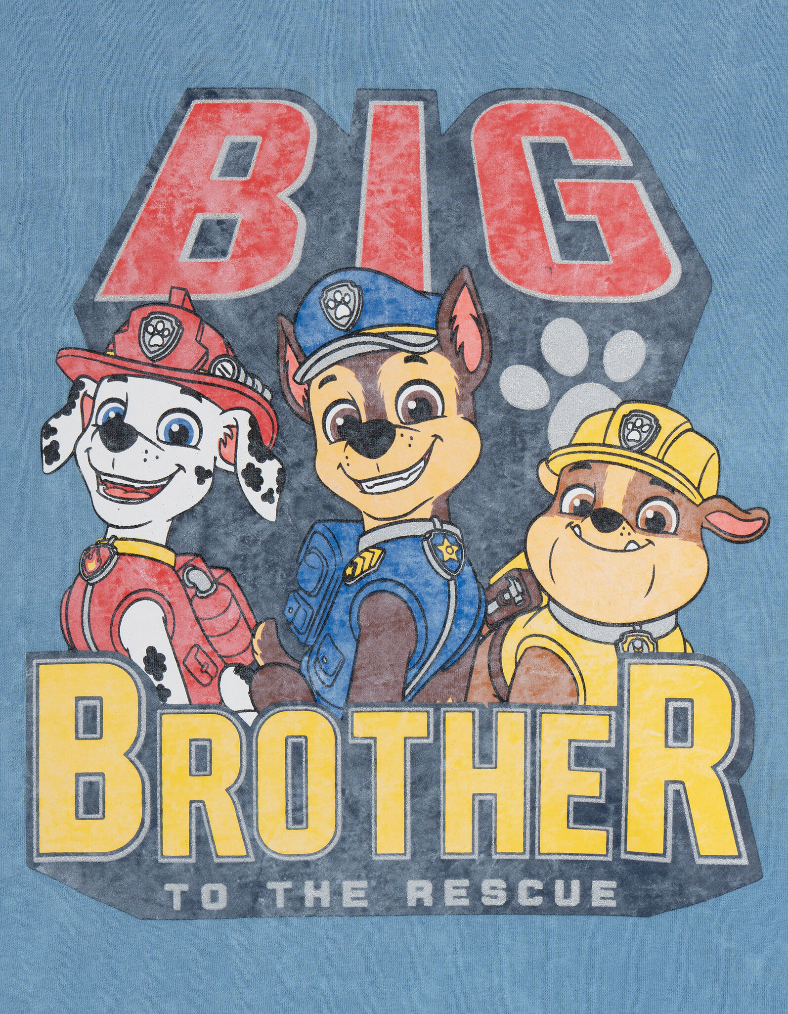 Paw Patrol Boys' Short Sleeve T-Shirt