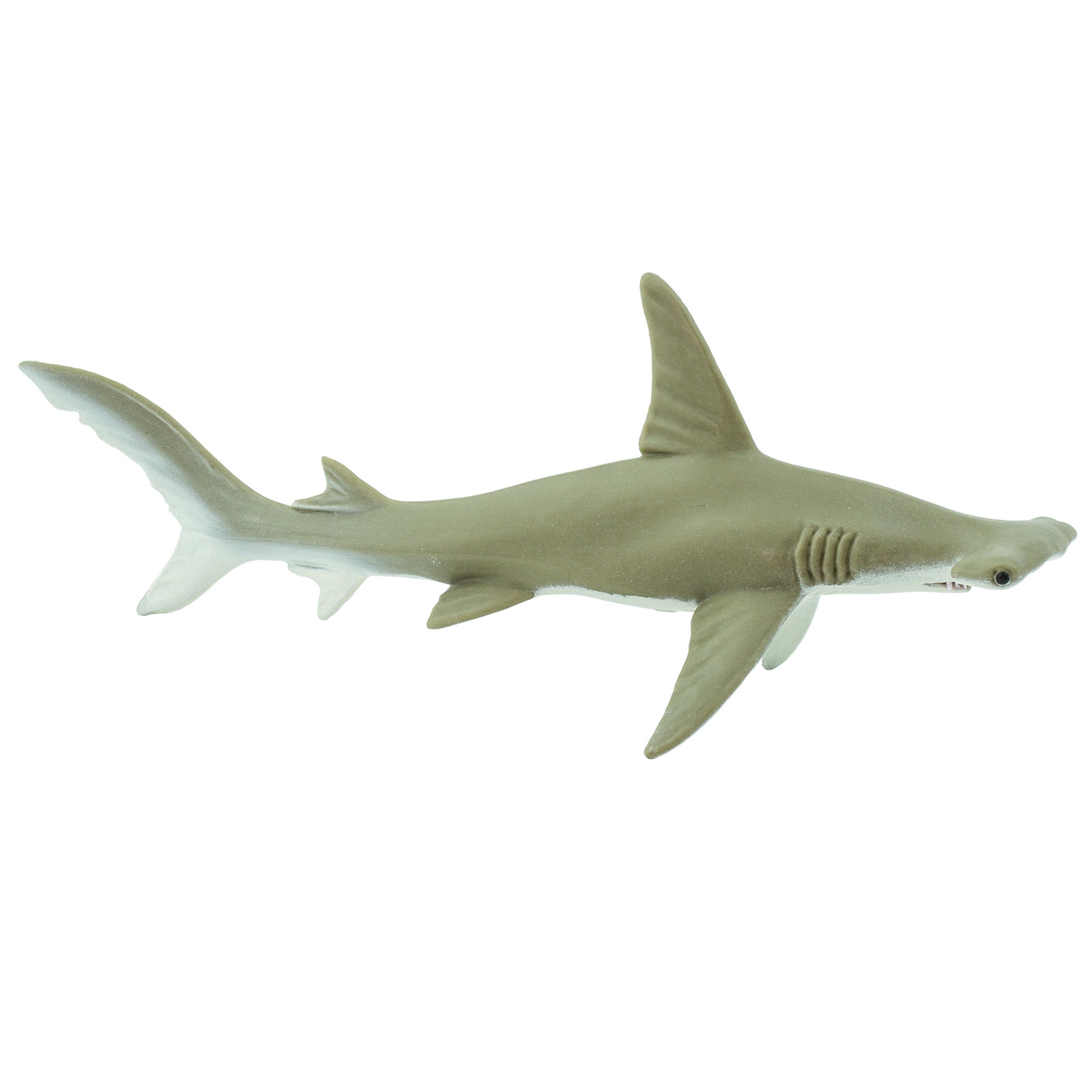 Safari Ltd. - Hammerhead Shark Kids Toy Figure