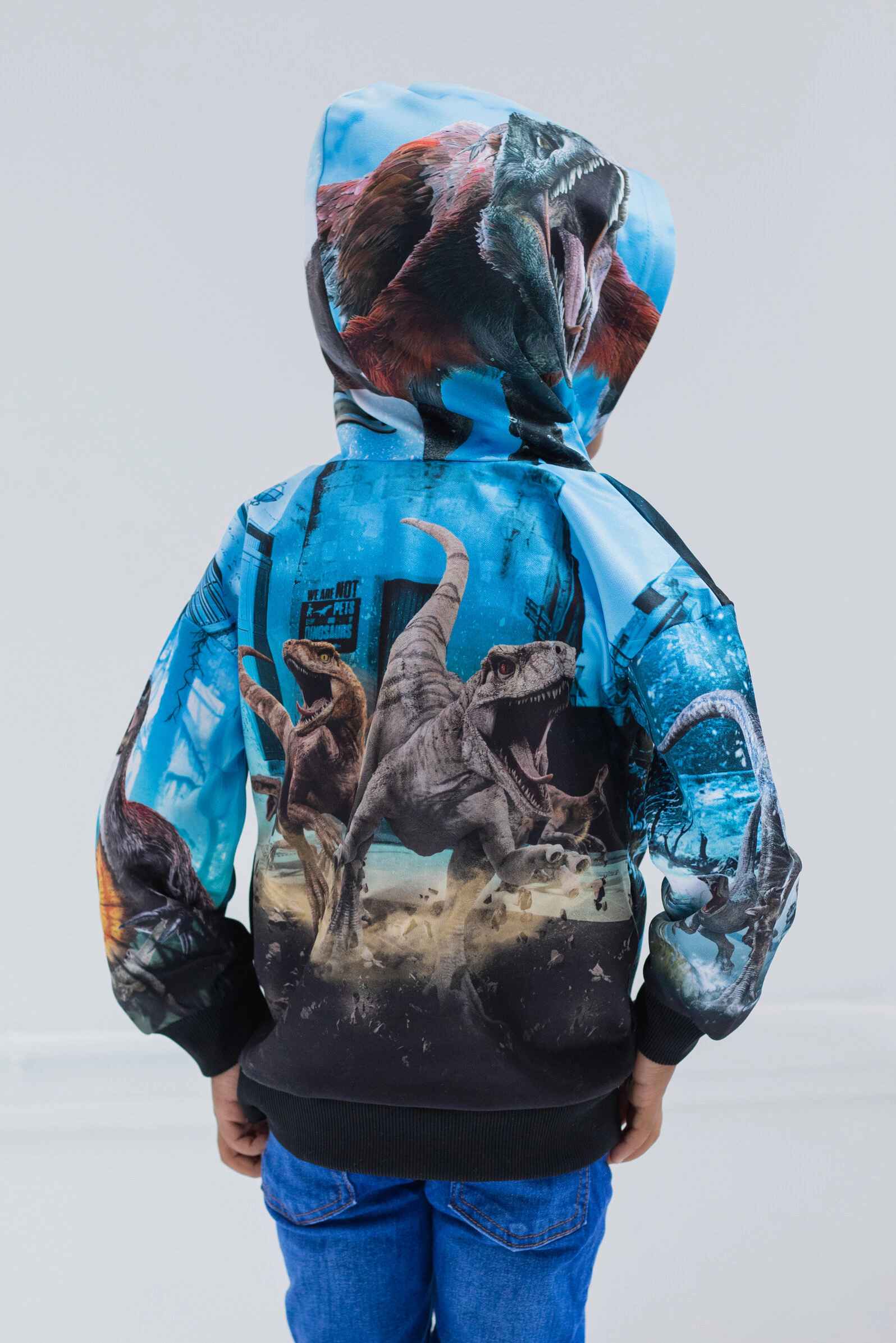 Jurassic World Park T-Rex Boys' Fleece Hooded Sweatshirt