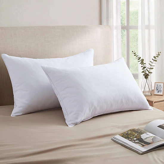 PEACENEST Natural Goose Feather Pillows with Soft Quilted Cover,2-Pack