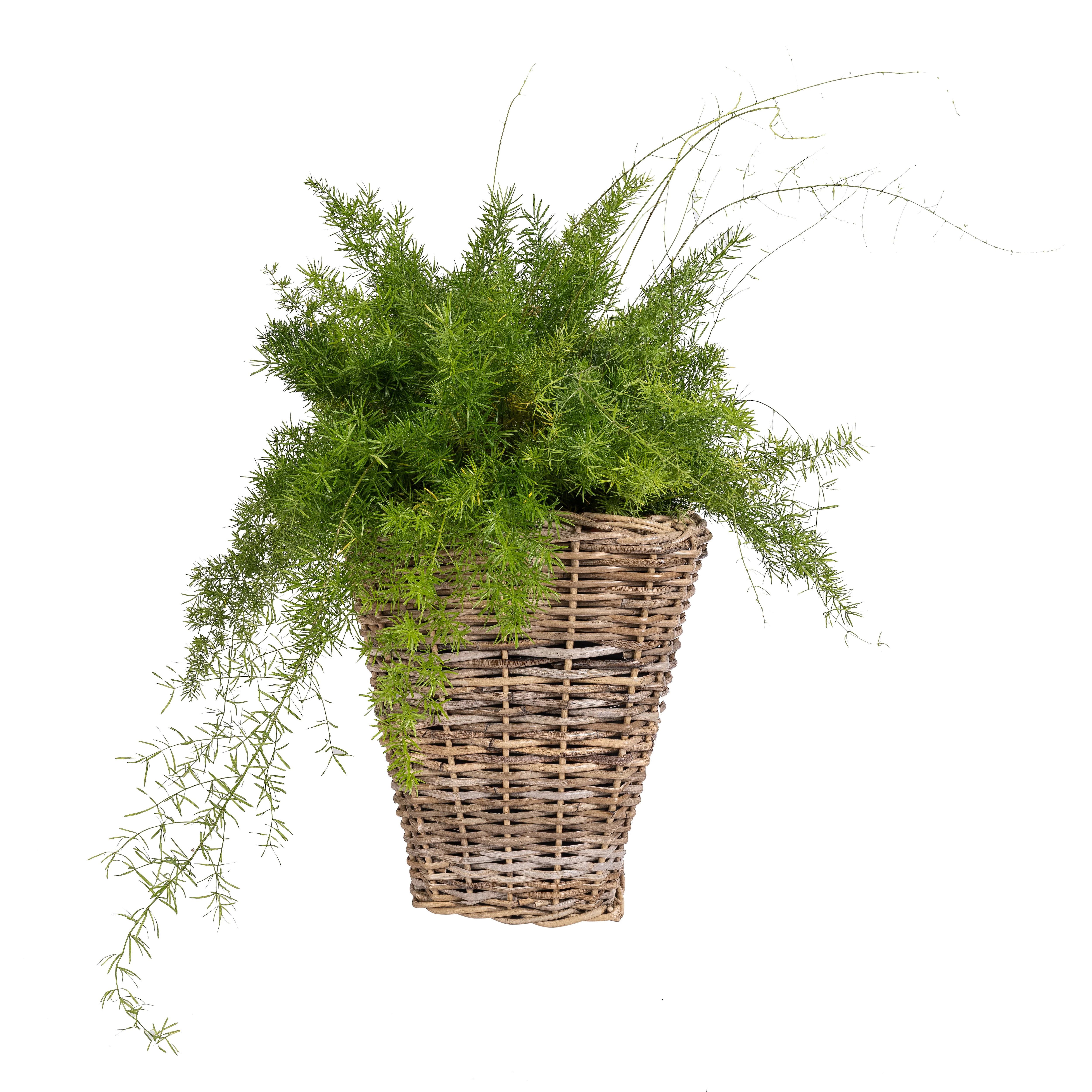 Saboga Home™ Square Tapered Planter with Plastic Insert