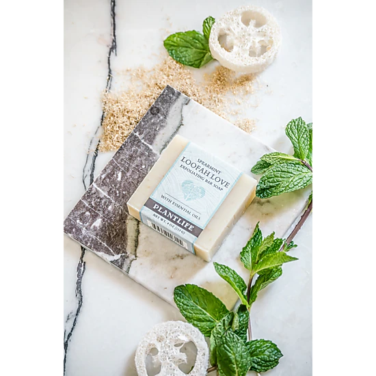Plantlife Loofah Love Spearmint Aromatherapy Herbal Soap