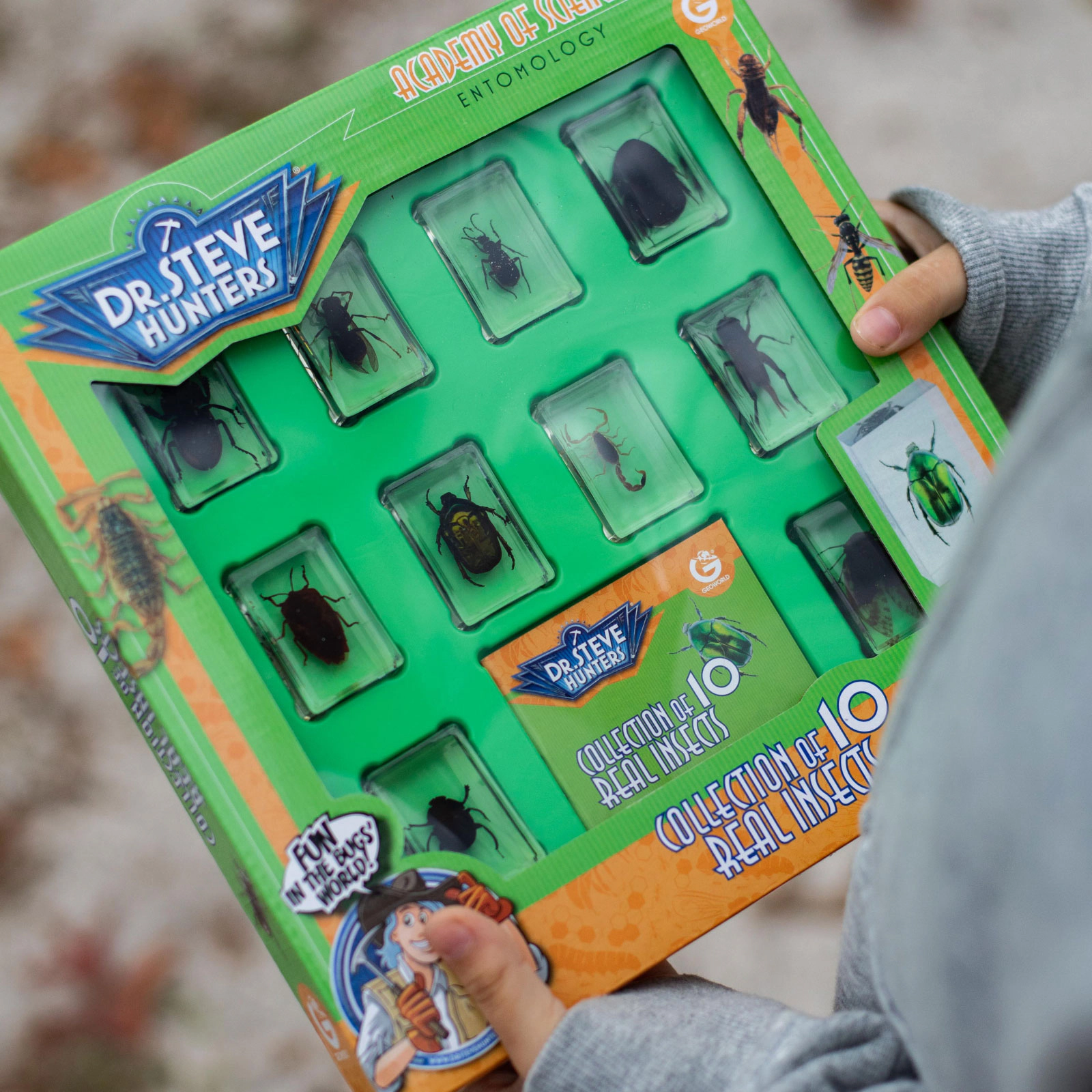 Geoworld - Bug's World - Collection of 10 Real Insects Kids Set
