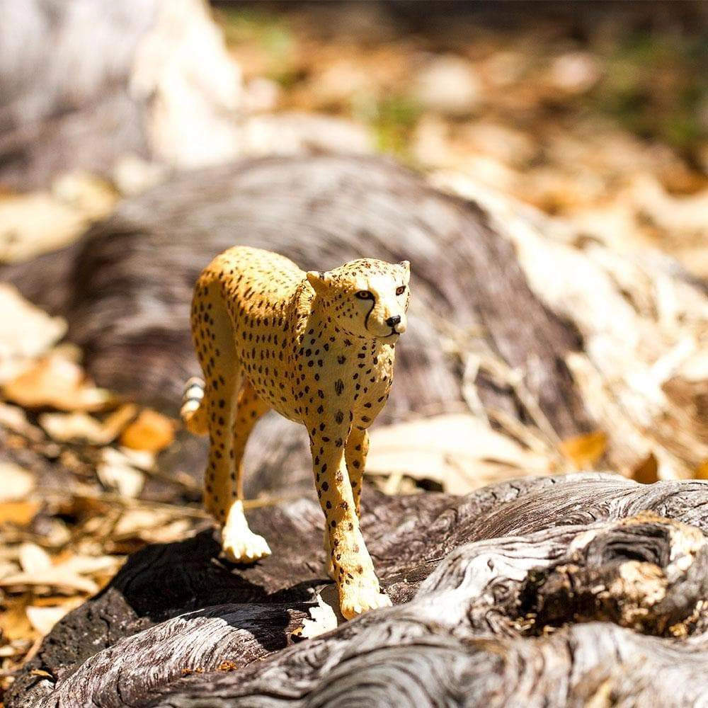 Safari Ltd. - Cheetah Kids Toy Figure