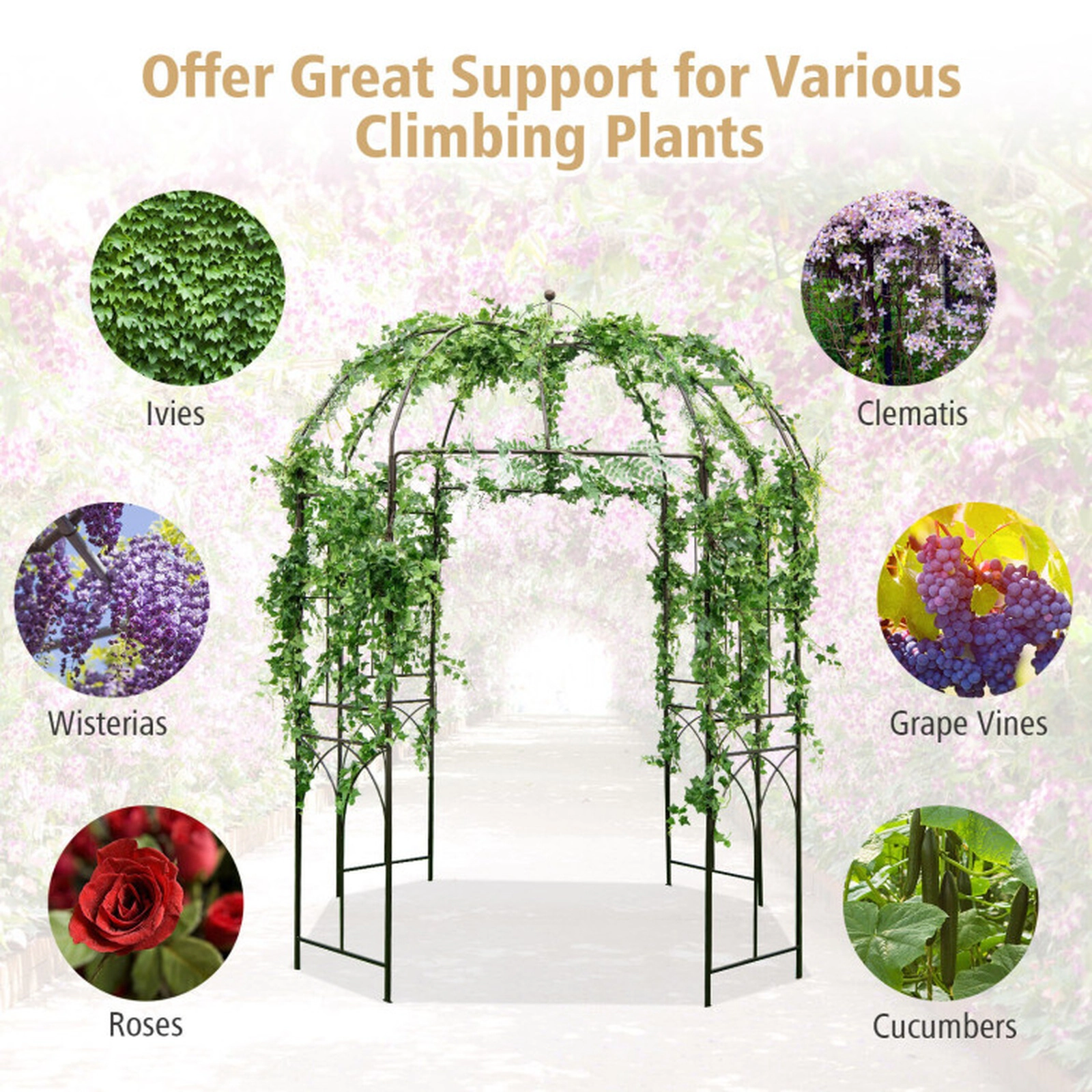 SUGIFT 8.4-ft Bronze Birdcage Shape Metal Garden Arbor with Anti-Rust Coating and 16 Ground Stakes