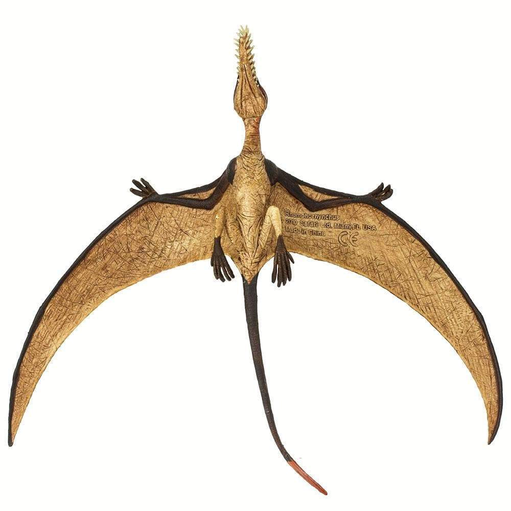 Safari Ltd. - Rhamphorhynchus Kids Prehistoric/Dinosaur Toy Figure