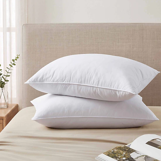 PEACENEST Natural Goose Feather Pillows with Soft Quilted Cover,2-Pack