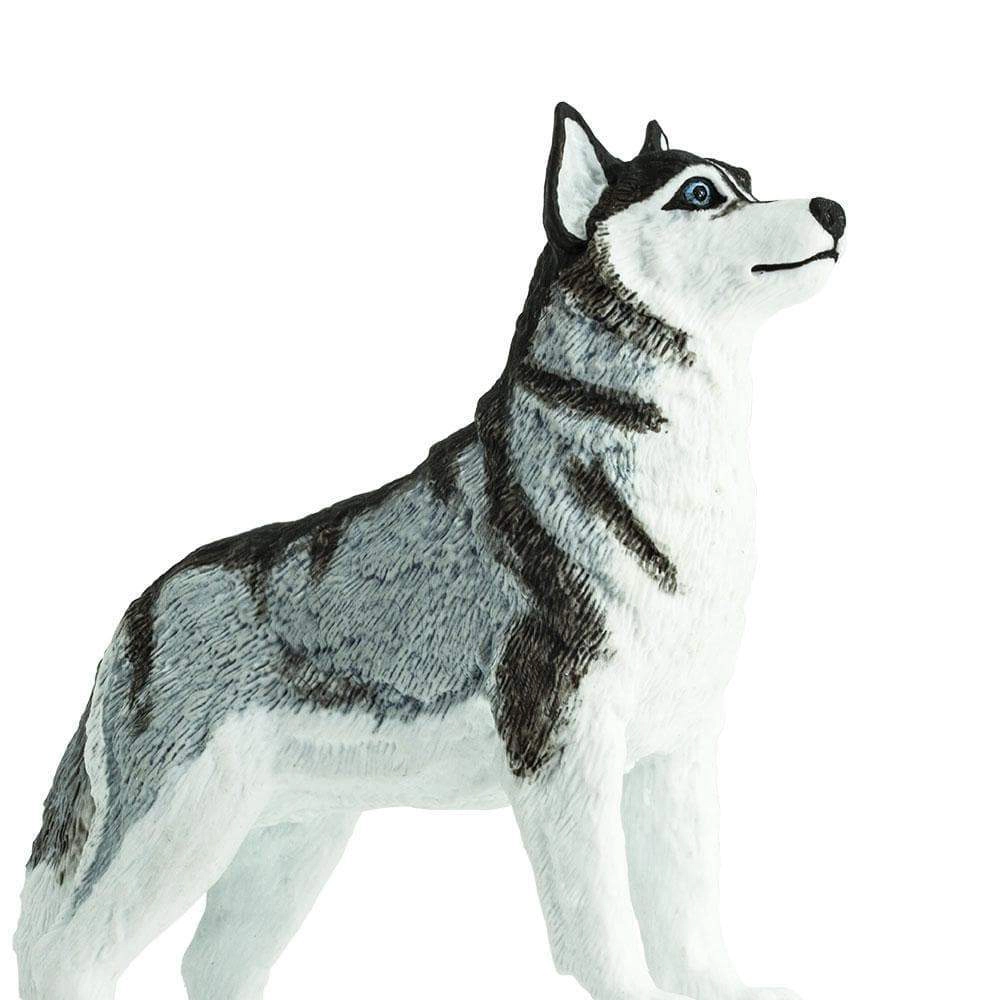 Safari Ltd. - Siberian Husky Kids Toy Figure