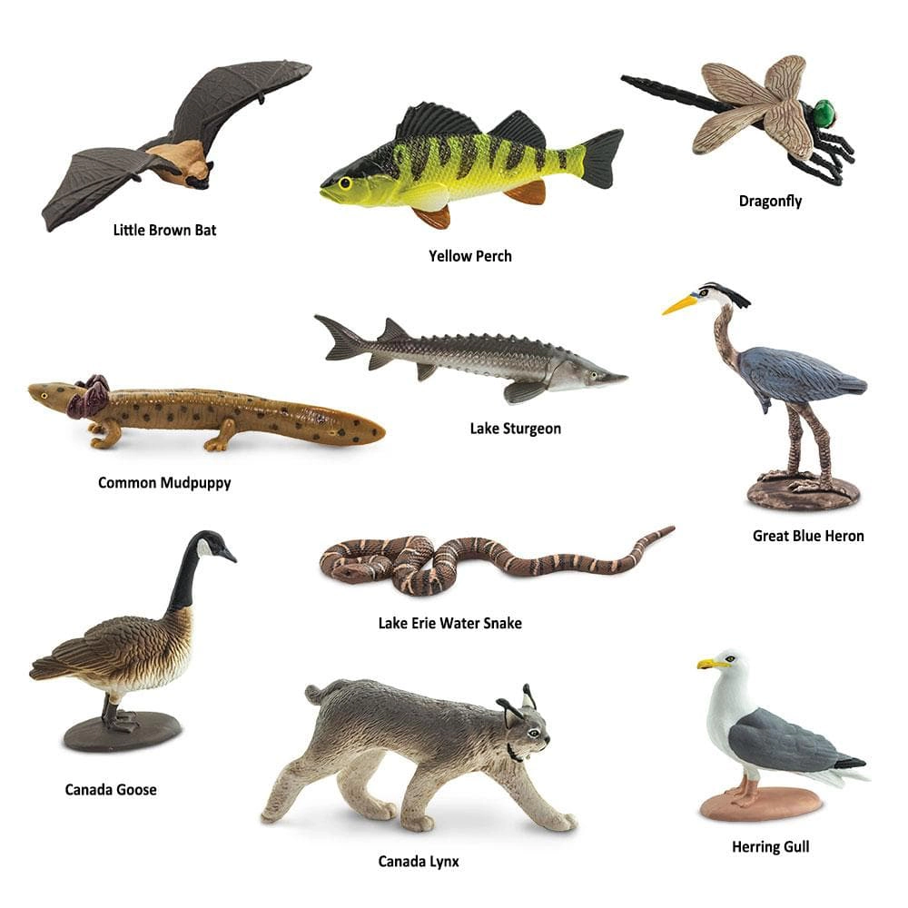 Safari Ltd. - Great Lakes Animals TOOB - contains 10 Mini Figurines