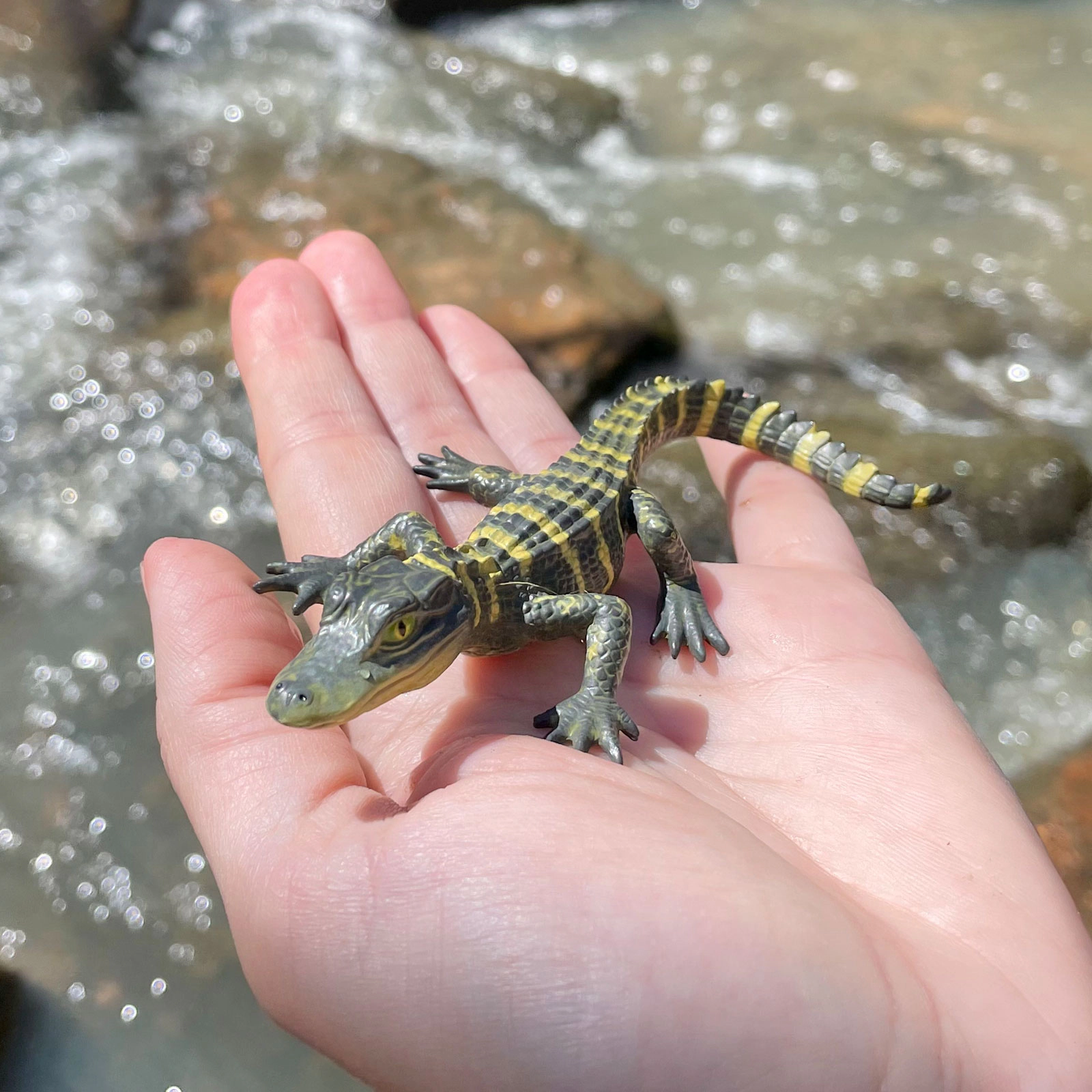 Safari Ltd. - Alligator Baby Wildlife Kids Toy Figure