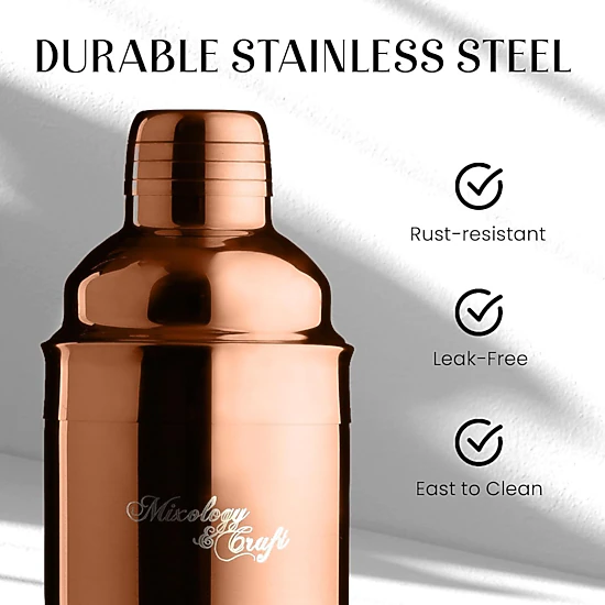 11-Piece Cocktail Shaker Set, Bartender Kit with Stand - Gift Ready