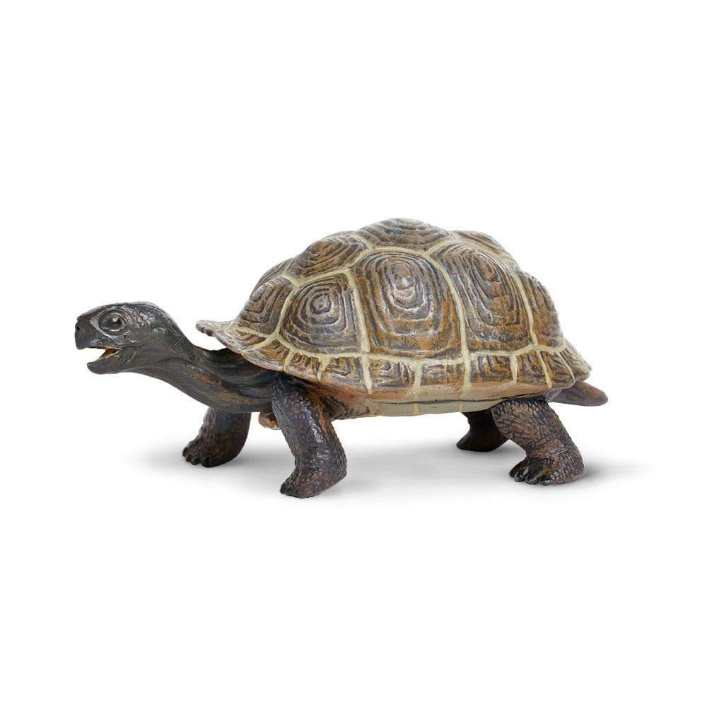 Safari Ltd. - Tortoise Baby Kids Toy Figure