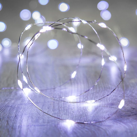 Perfect Holiday 20 LED Silver Copper Fairy Lights, Battery Operated ...