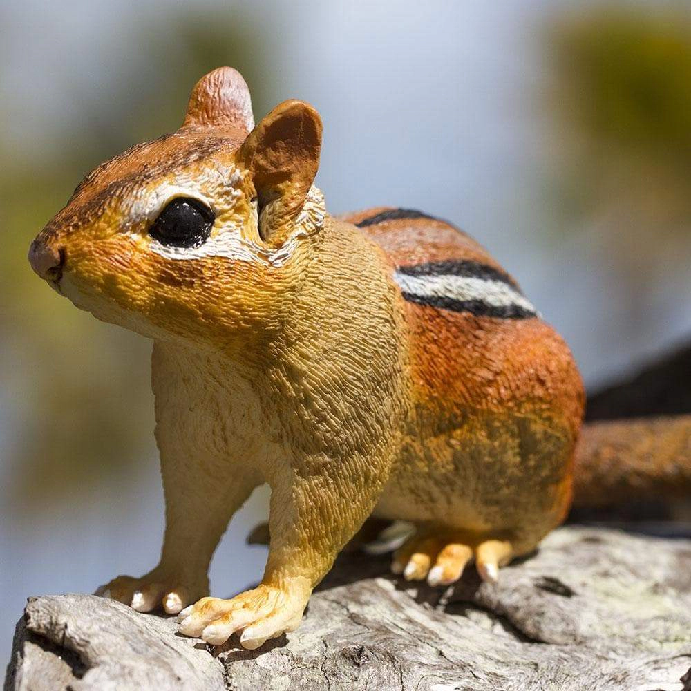 Safari Ltd. - Eastern Chipmunk Kids Toy Figure