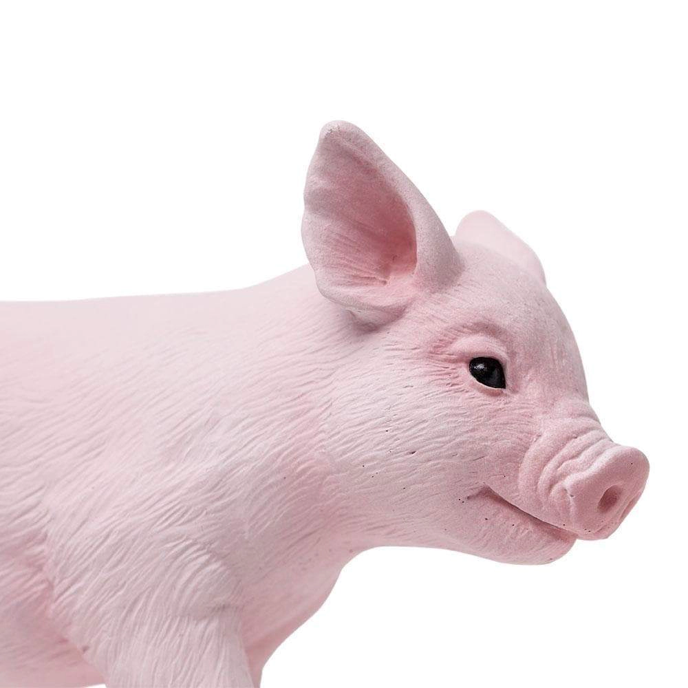 Safari Ltd. - Piglet Kids Toy Figure