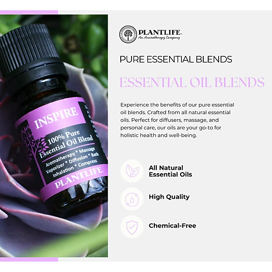 Plantlife Clean House Essential Oil Blend