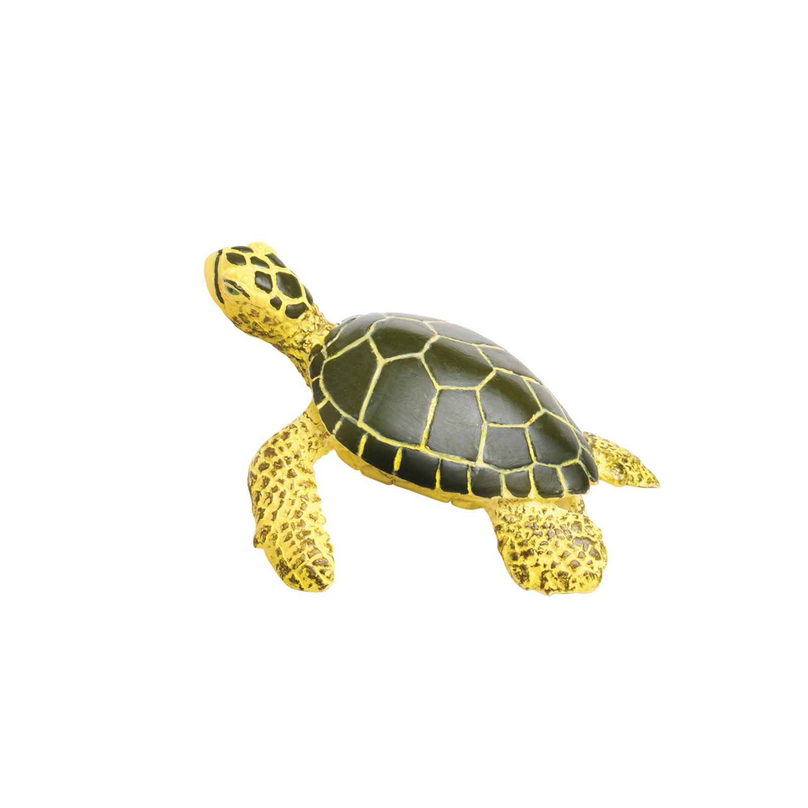 Safari Ltd. - Baby Green Sea Turtle Kids Toy Figure