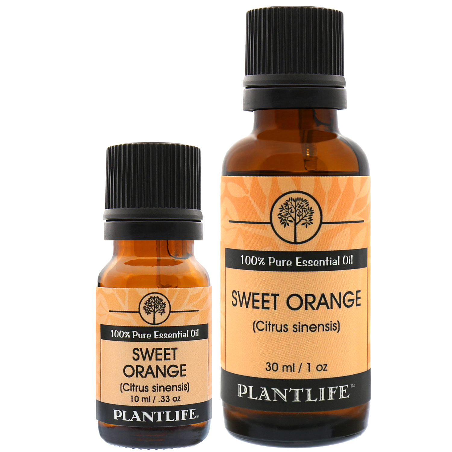 Plantlife Sweet Orange Essential Oil