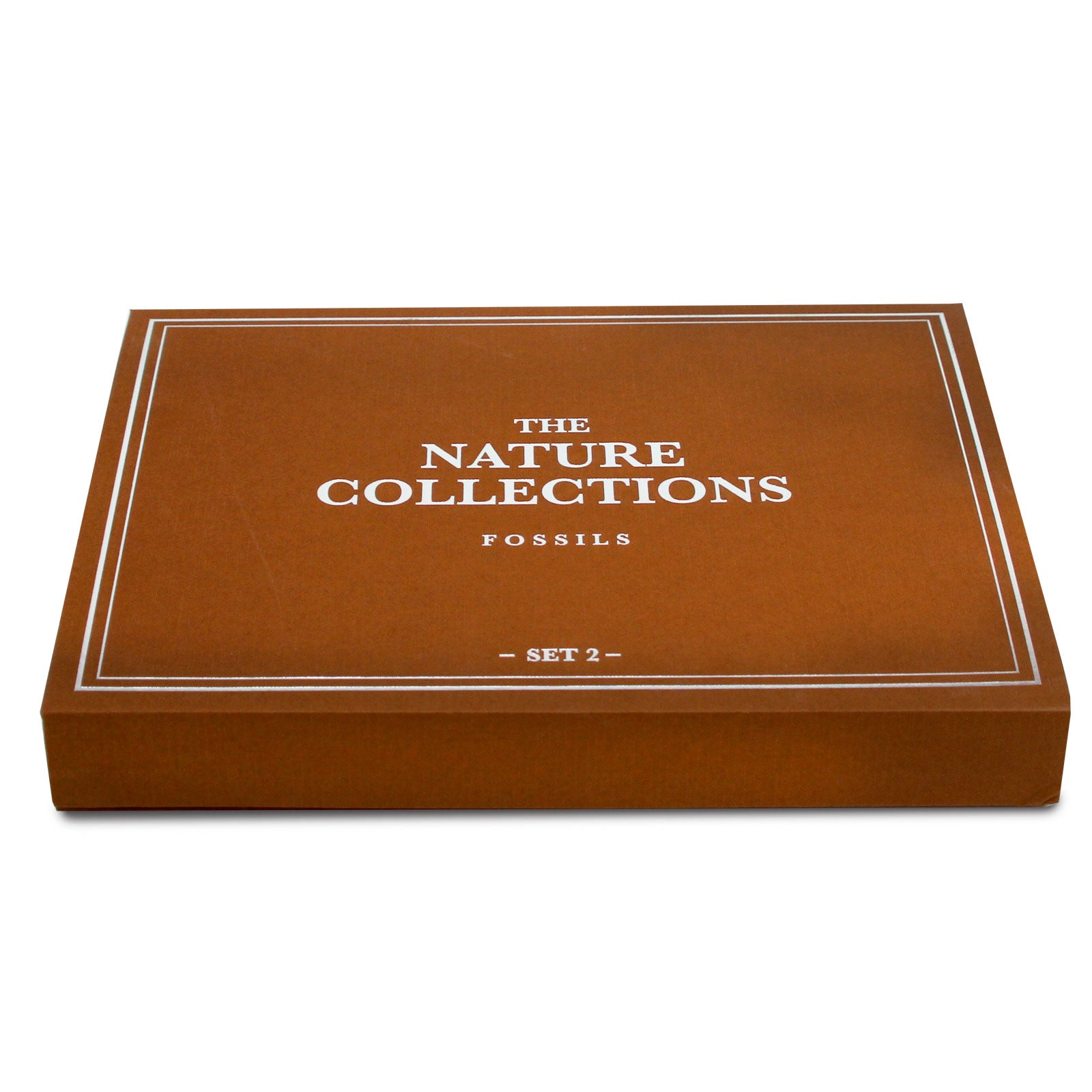 Geoworld - The Nature Collection - Fossils Set 2- Kids Set