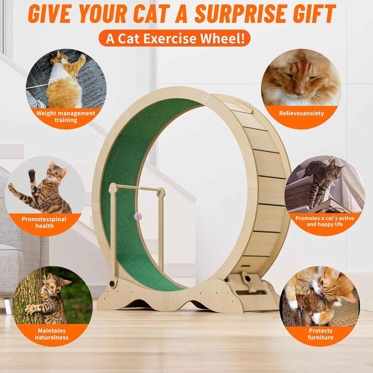 100cm Inner-Diameter Density-Board Cat Exercise Wheel, Indoor Cat Running Treadmill, Natural Wood Tone
