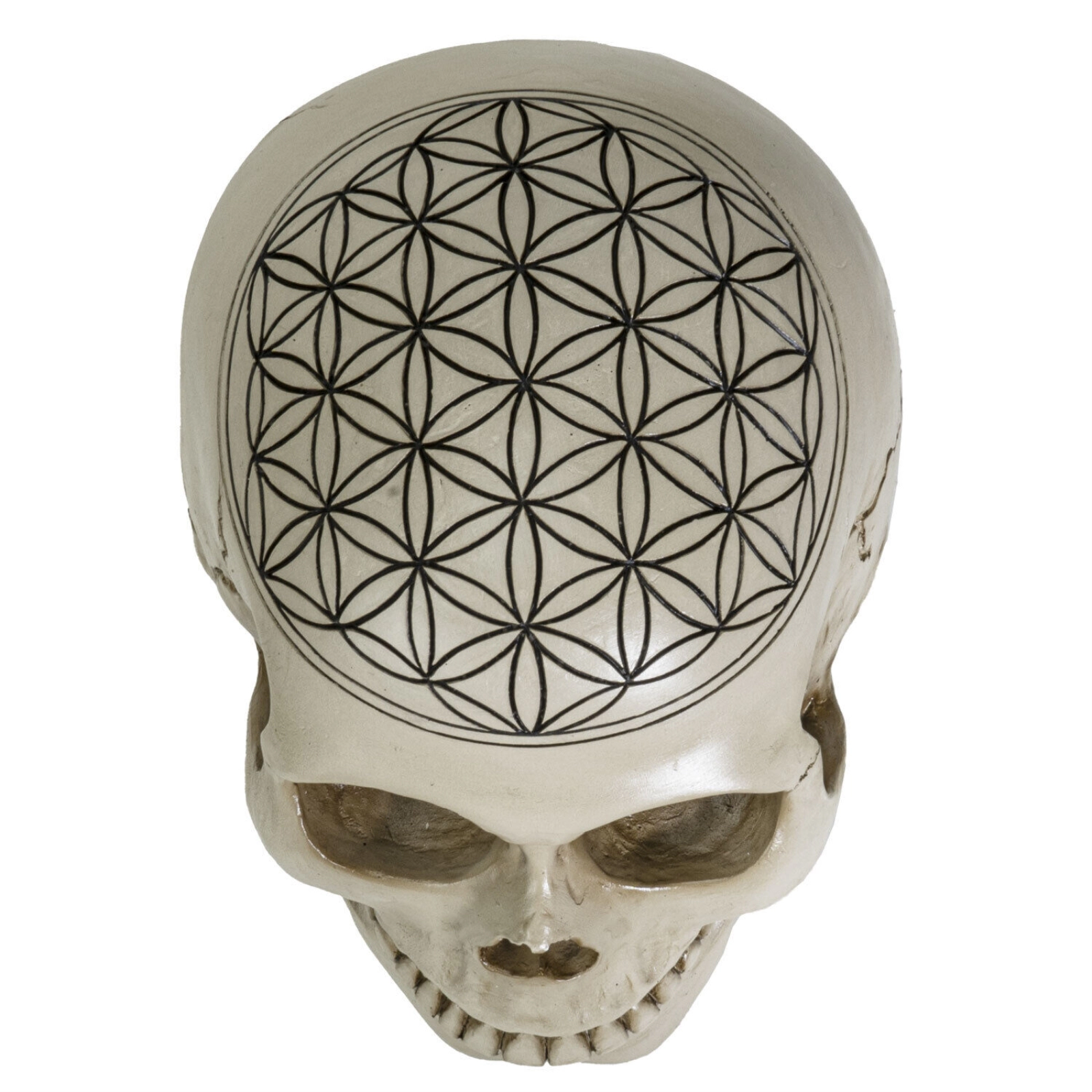 Pacific Giftware Sacred Geometry Flower of Life Human Skull Figurine 6.25 inches