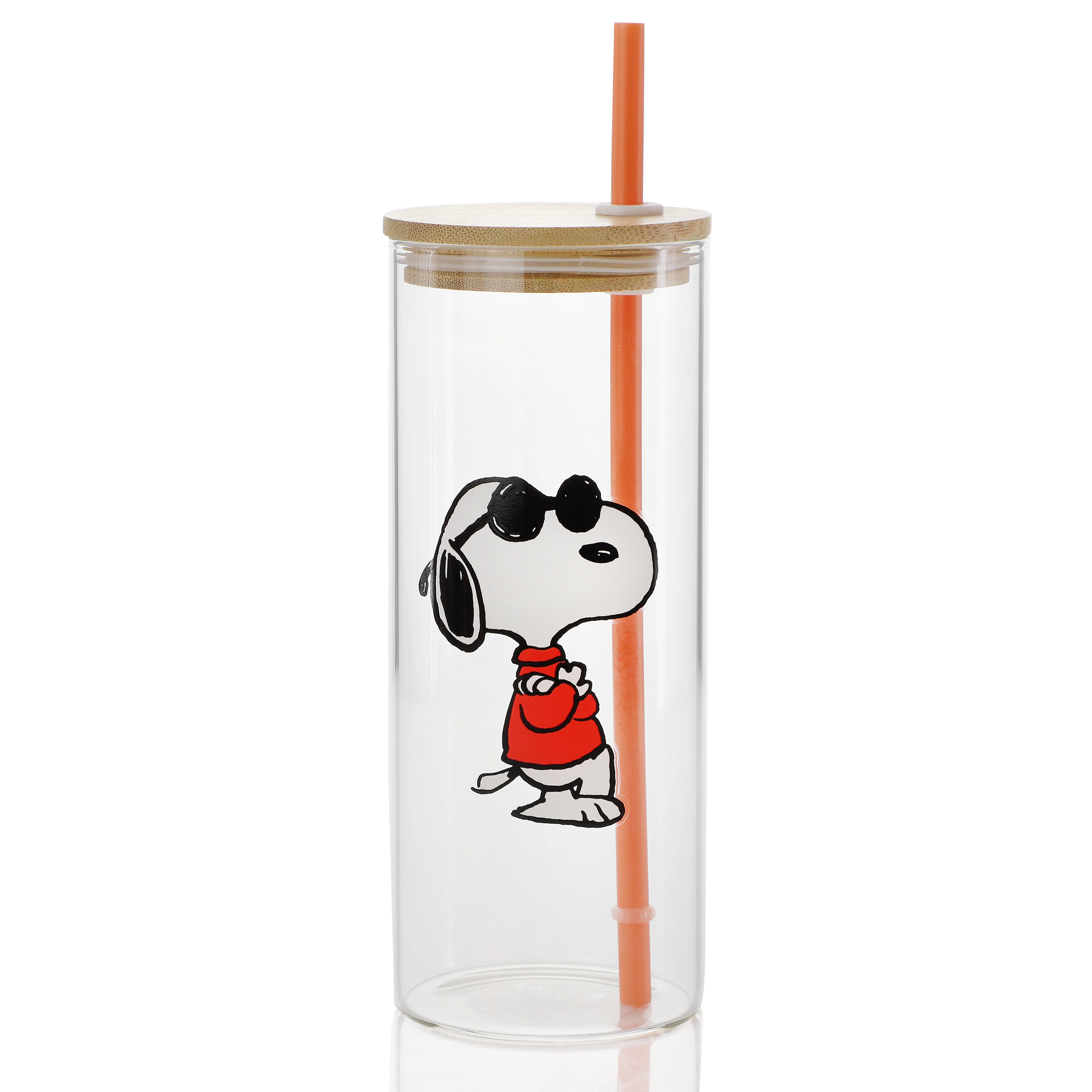 Peanuts Happy Sips Snoopy and Woodstock 6 Piece 23 Ounce Glass Tumbler with Straw and Bamboo Lid in Orange