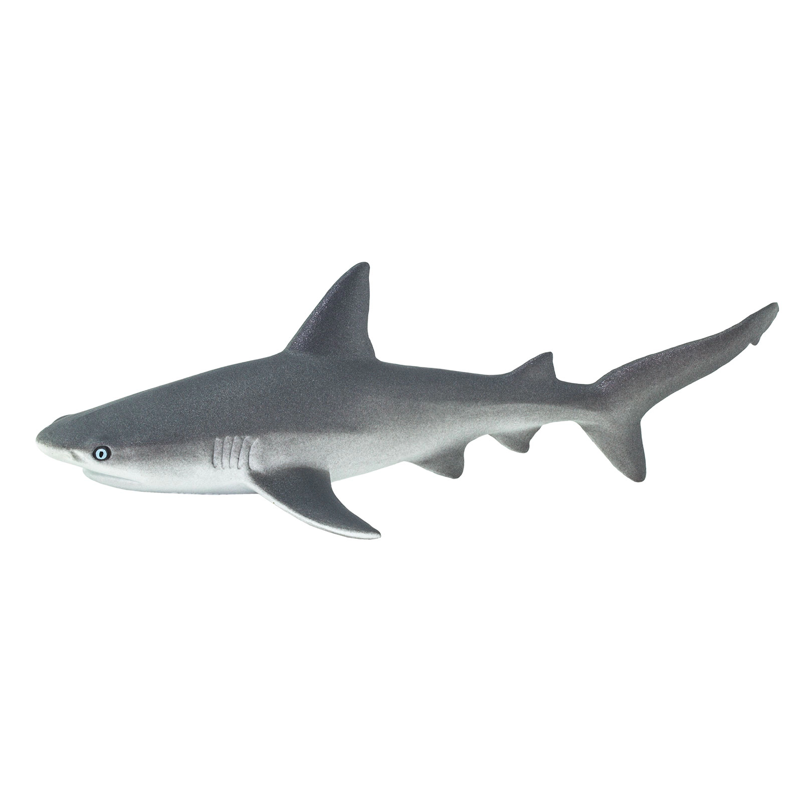 Safari Ltd. - Gray Reef Shark Kids Toy Figure
