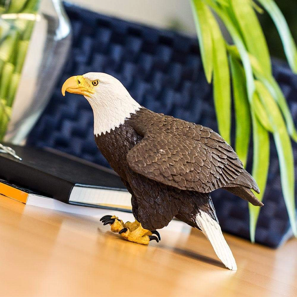 Safari Ltd. - Bald Eagle Kids Toy Figure