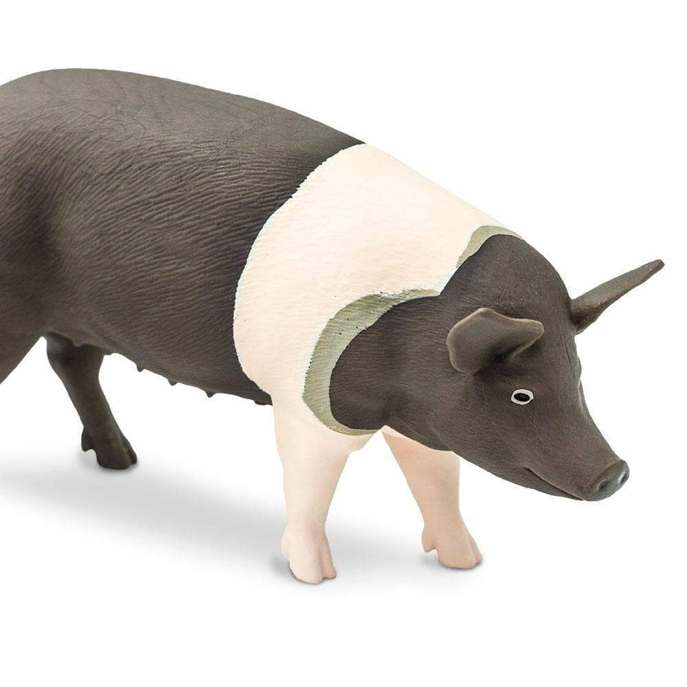 Safari Ltd. - Hampshire Pig Kids Toy Figure