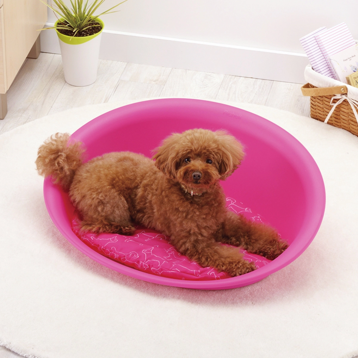 Richell Oval Pet Bed Medium - Pink
