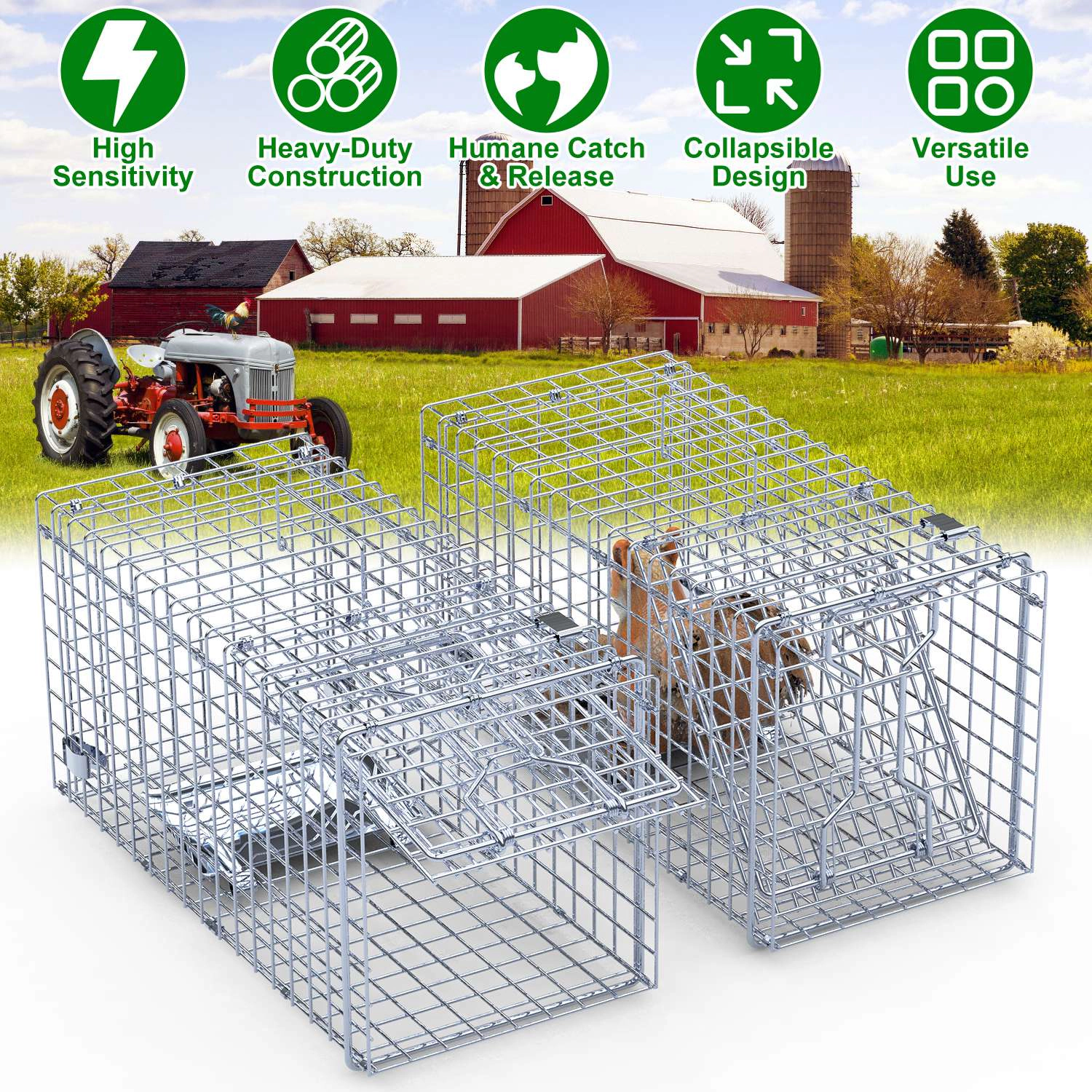 GBruno 2-Piece Collapsible Live Animal Trap Cage