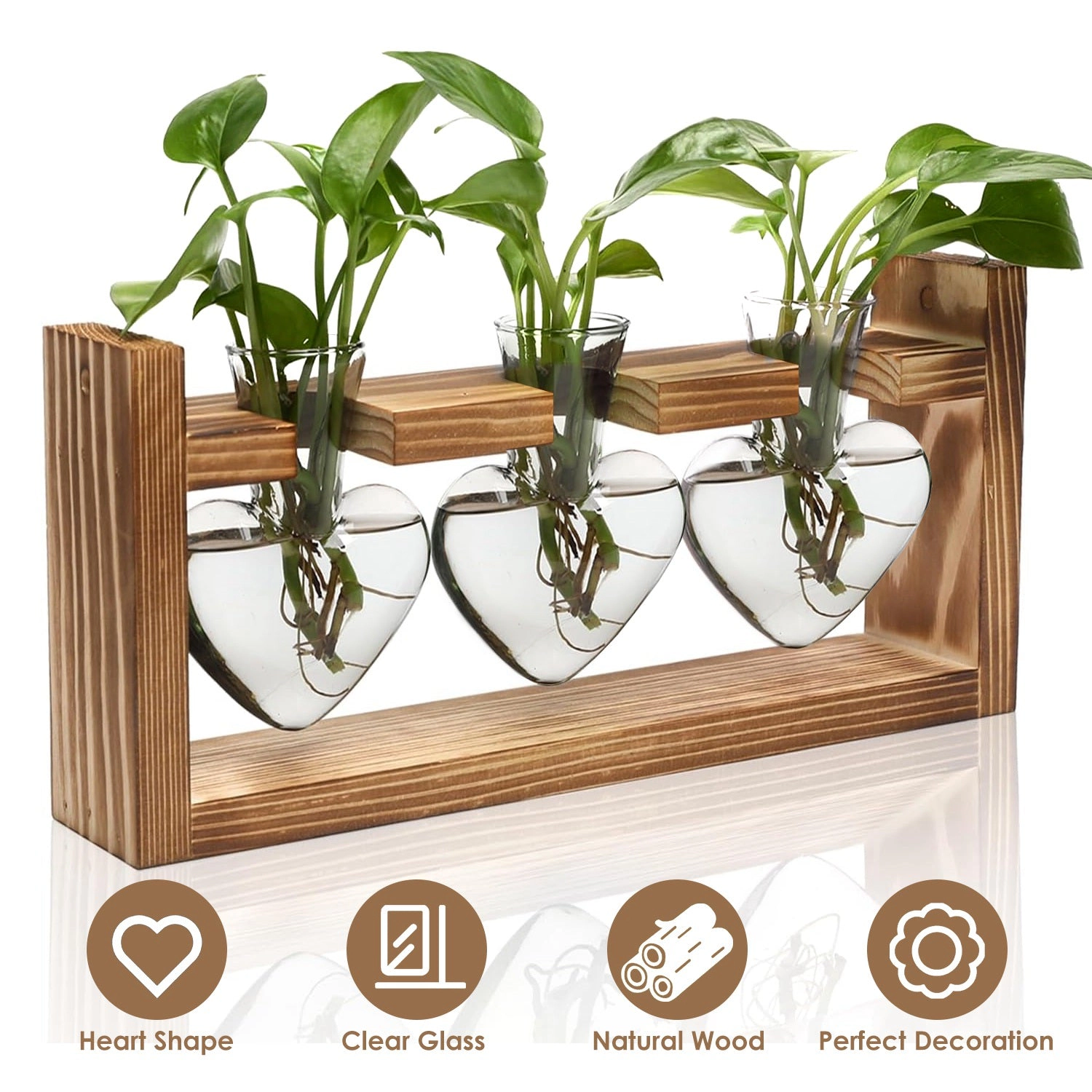 GBruno Heart-Shaped Plant Propagation Station