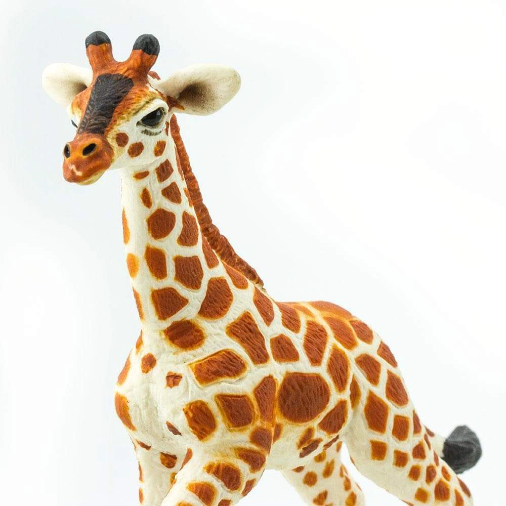 Safari Ltd. - Reticulated Giraffe Baby Kids Toy Figure