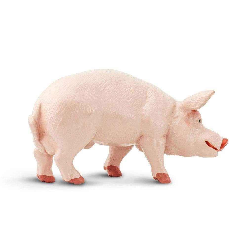Safari Ltd. - Boar Kids Toy Figure