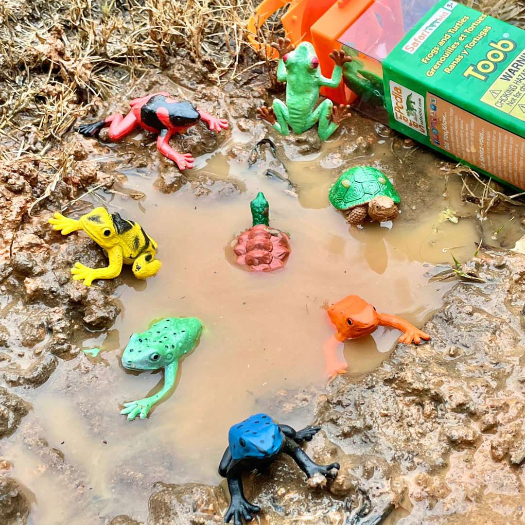 Safari Ltd. - Frog & Turtles TOOB - contains 12 Mini Figurines