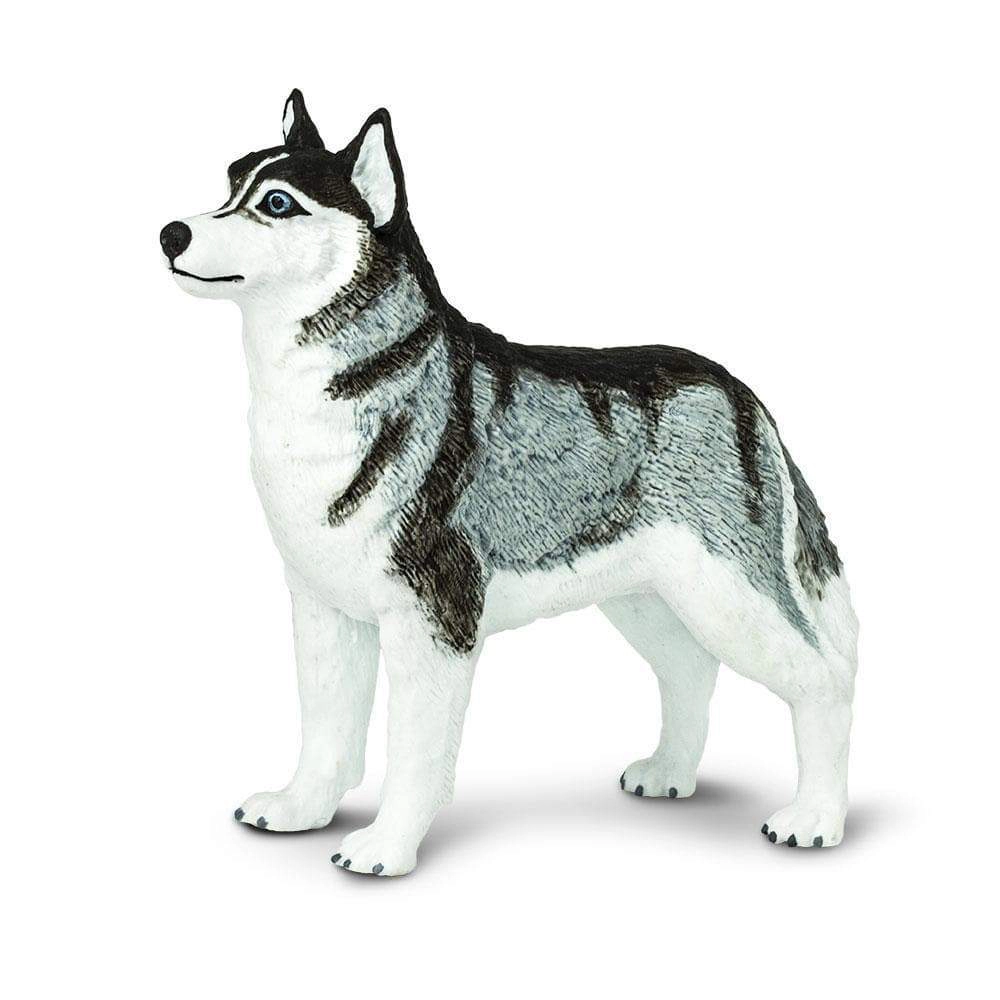 Safari Ltd. - Siberian Husky Kids Toy Figure