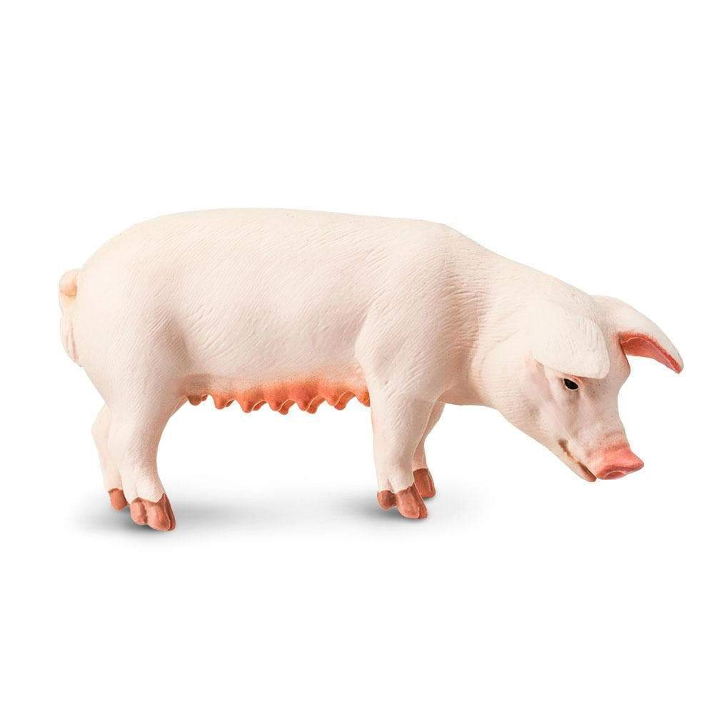 Safari Ltd. - Sow Kids Toy Figure