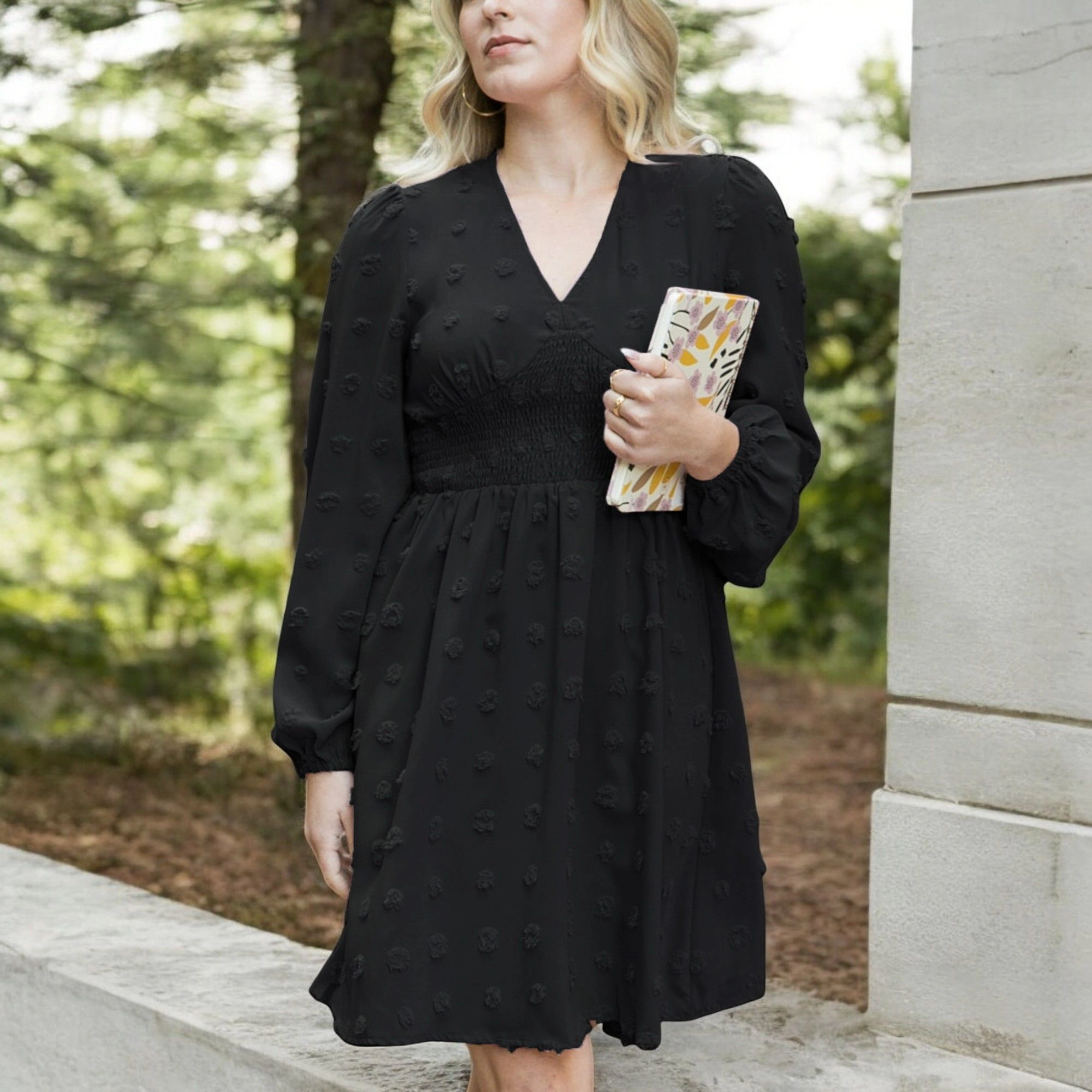 Anna-Kaci Womens Clip Dot Shirred Waist V-Neck Long Sleeve Flowy Above-Knee Dress - Black