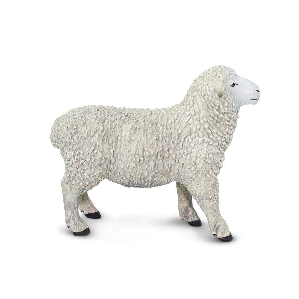 Safari Ltd. - Sheep Kids Toy Figure