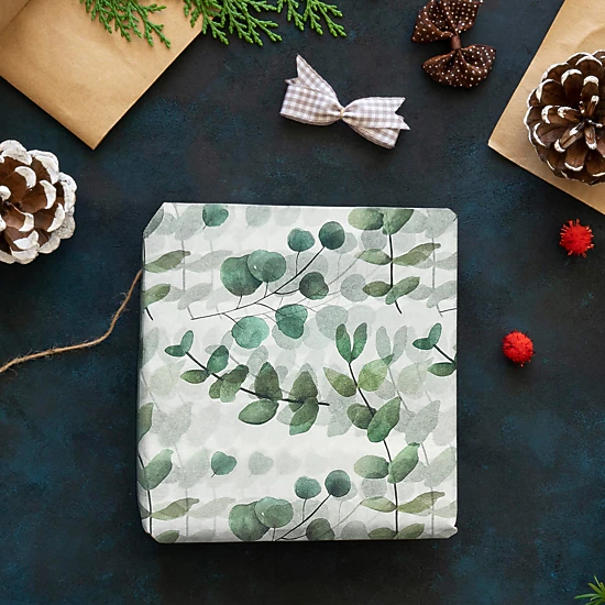 Wrapables 60 Sheets Eucalyptus Tissue Paper 13.75 x 19.75