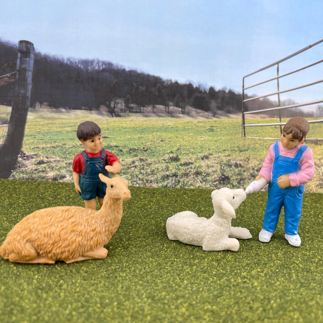 Safari Ltd. - Petting Zoo TOOB - contains 11 Mini Figurines