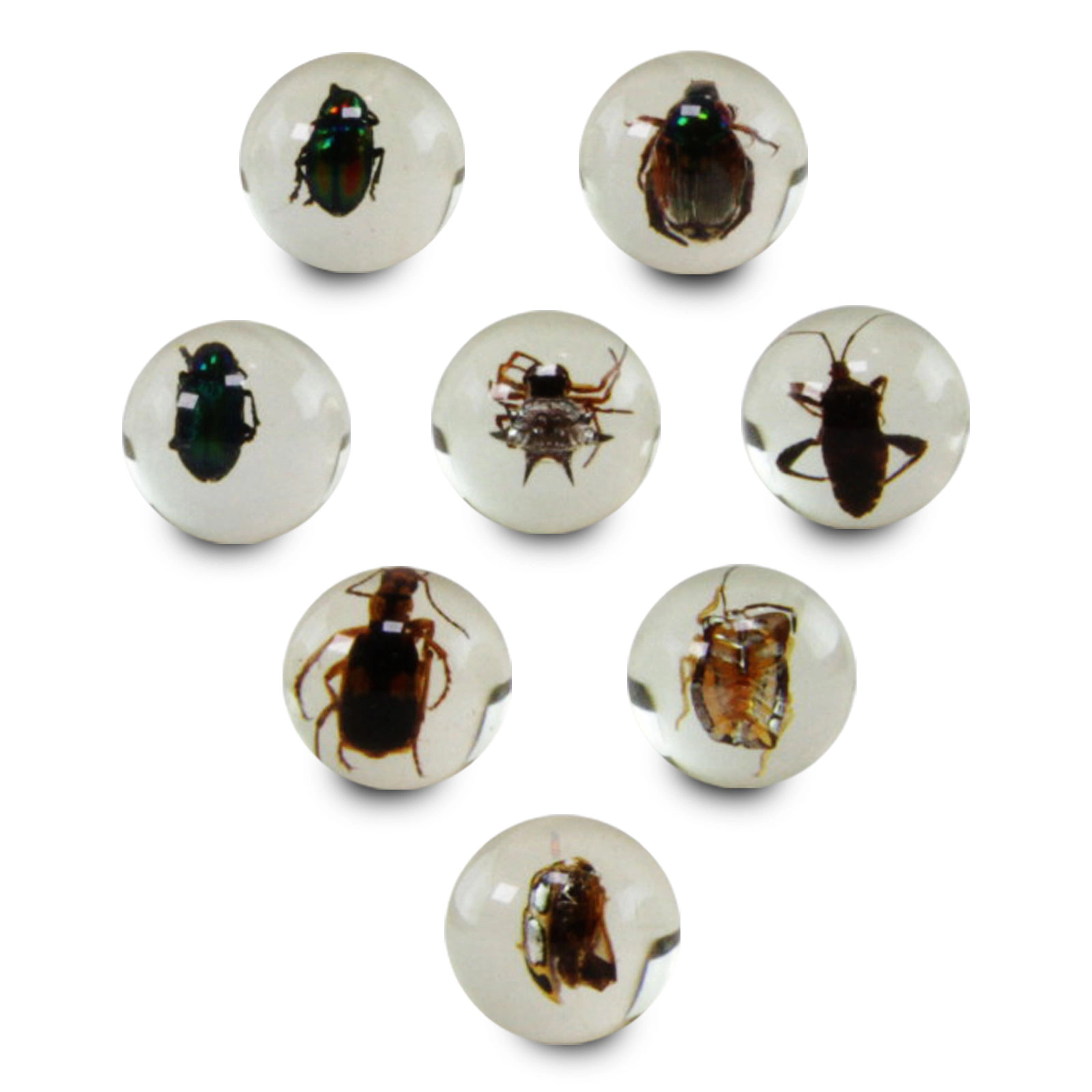 Geoworld - Bug Marbles - Kids Toy Set