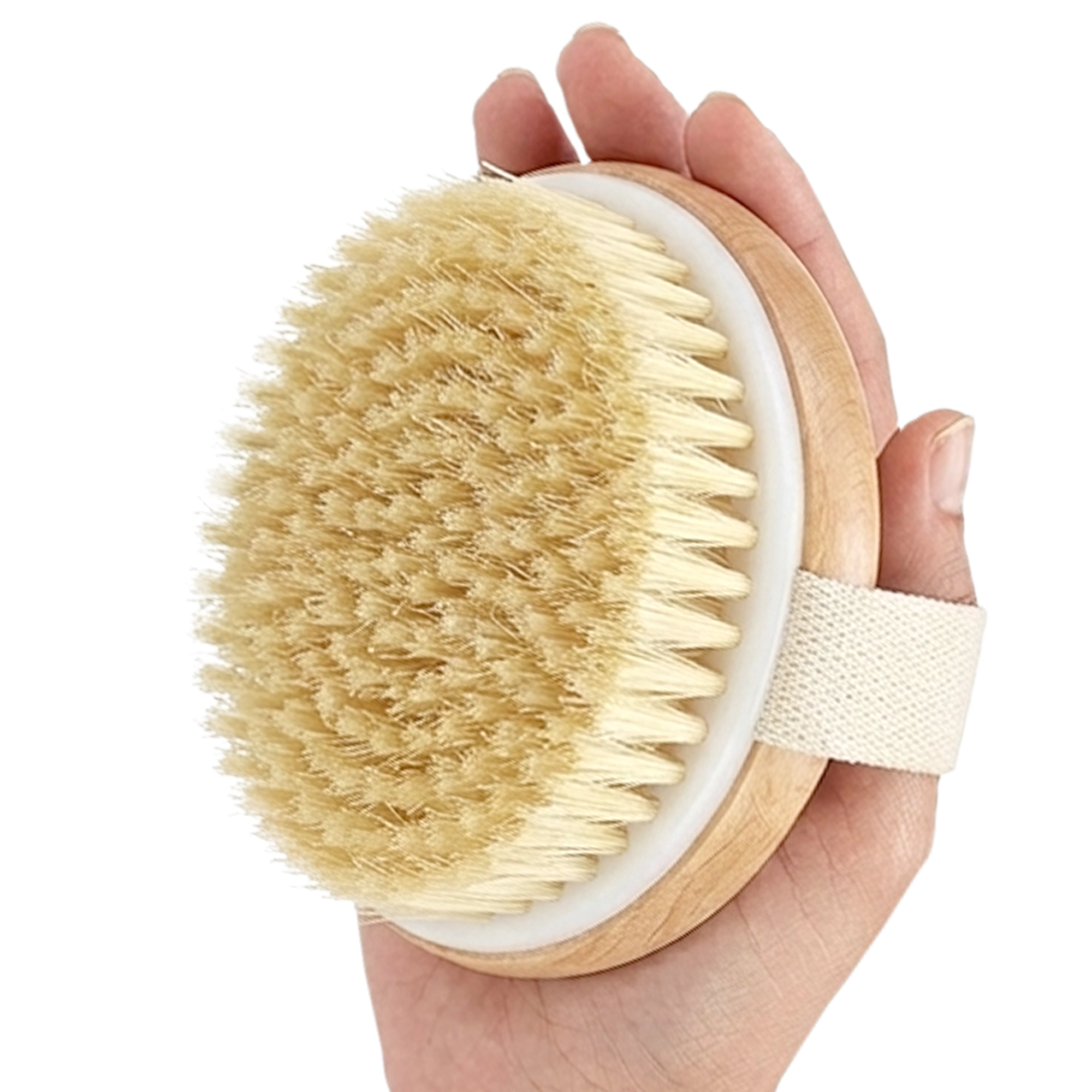 Cheer Collection 2-Pack Natural Bristle Exfoliating Body Brushes with Hand Straps